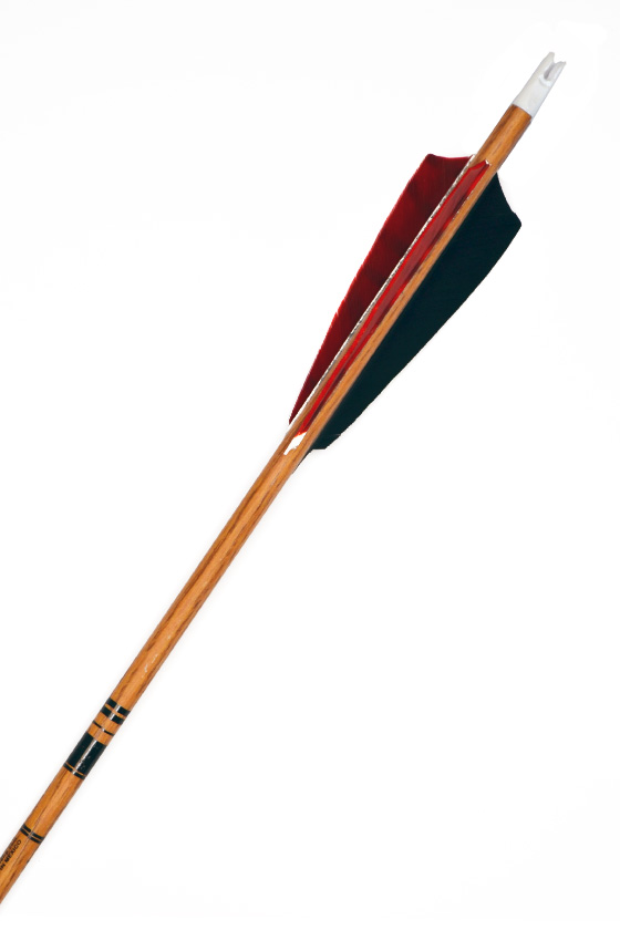 Pyrop Traditional Hunter 600 Carbonpfeil