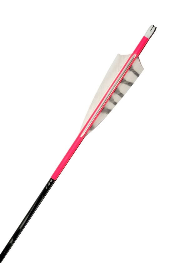 Neon Pink 28'' Inspiré 1200 Carbonpfeil 