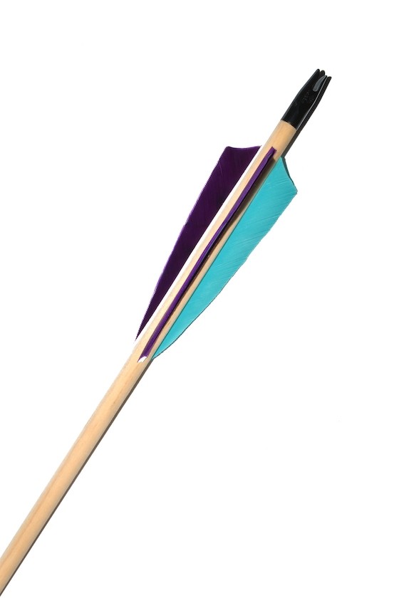 Allium Holzpfeil 26"-30"