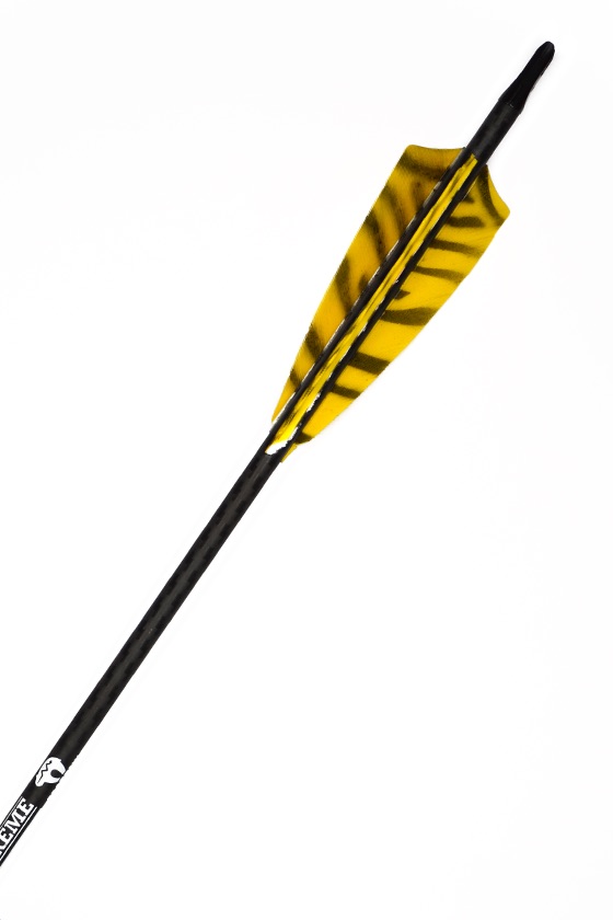 Zebra Gelb Hunter Extreme 500 Carbonpfeil