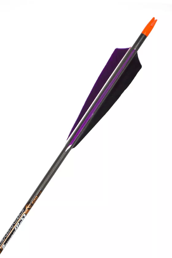 Purple Rain Powerflight 500 Carbonpfeil